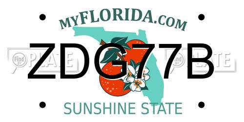 ZDG77B Florida License Plate