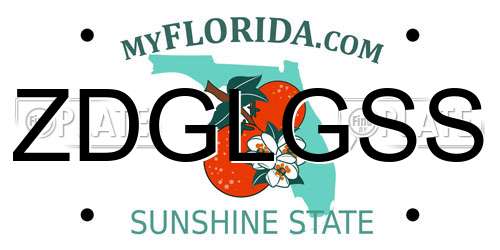 ZDGLGSS Florida License Plate