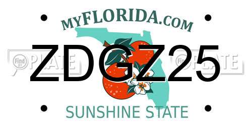 ZDGZ25 Florida License Plate