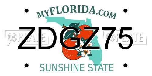 ZDGZ75 Florida License Plate
