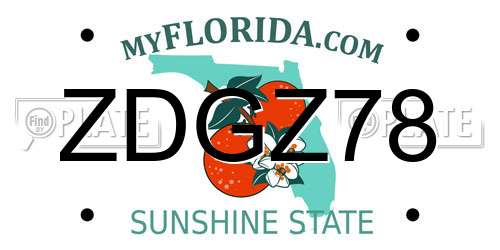 ZDGZ78 Florida License Plate