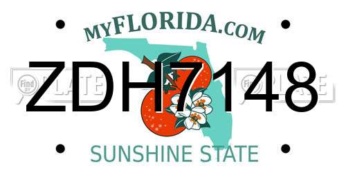 ZDH7148 Florida License Plate
