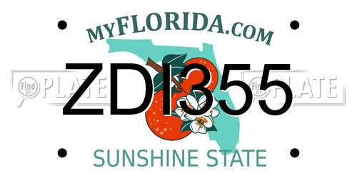 ZDI355 Florida License Plate