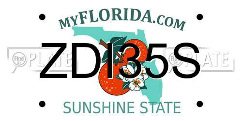 ZDI35S Florida License Plate