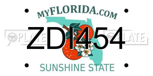 ZDI454 Florida License Plate