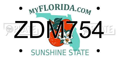 ZDM754 Florida License Plate