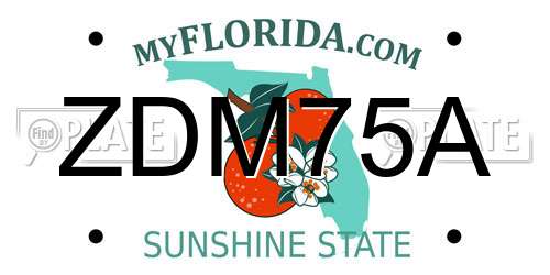 ZDM75A Florida License Plate