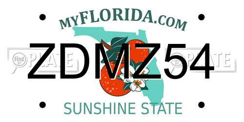 ZDMZ54 Florida License Plate