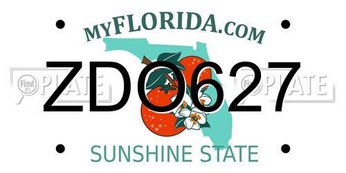 ZDO627 Florida License Plate