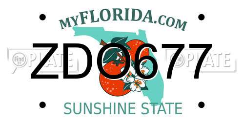 ZDO677 Florida License Plate