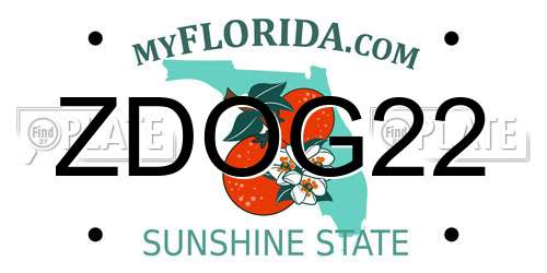 ZDOG22 Florida License Plate