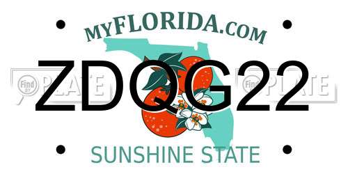 ZDQG22 Florida License Plate