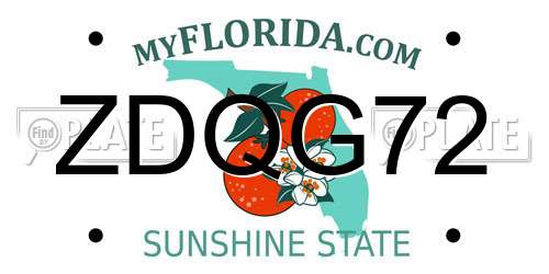 ZDQG72 Florida License Plate