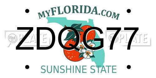 ZDQG77 Florida License Plate
