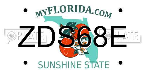 ZDS68E Florida License Plate