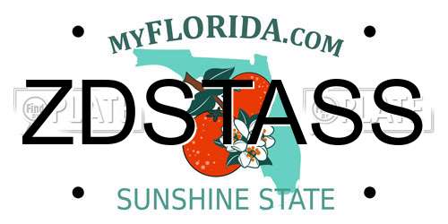 ZDSTASS Florida License Plate