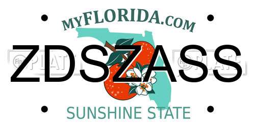 ZDSZASS Florida License Plate