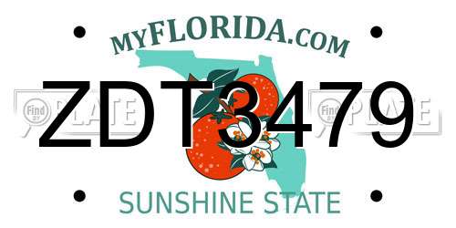 ZDT3479 Florida License Plate