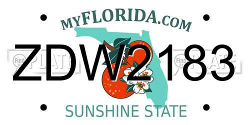 ZDW2183 Florida License Plate