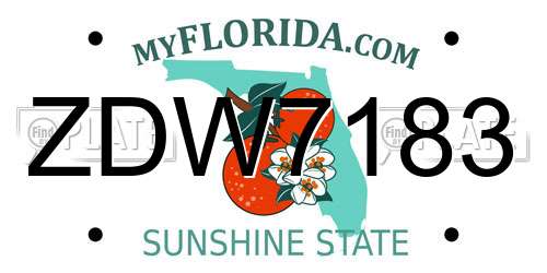 ZDW7183 Florida License Plate