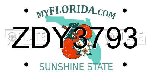 ZDY3793 Florida License Plate