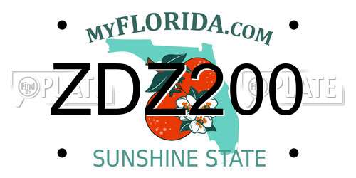 ZDZ200 Florida License Plate