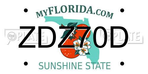 ZDZ70D Florida License Plate
