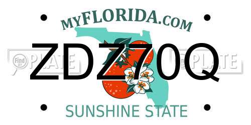 ZDZ70Q Florida License Plate