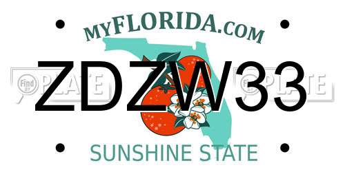 ZDZW33 Florida License Plate