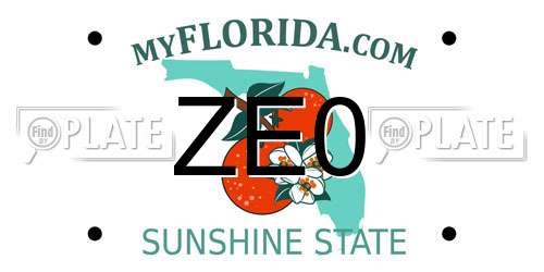ZE0 Florida License Plate