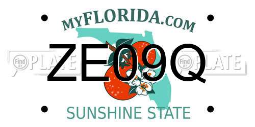 ZE09Q Florida License Plate