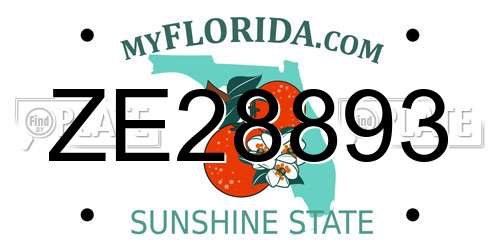 ZE28893 Florida License Plate