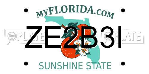 ZE2B3I Florida License Plate