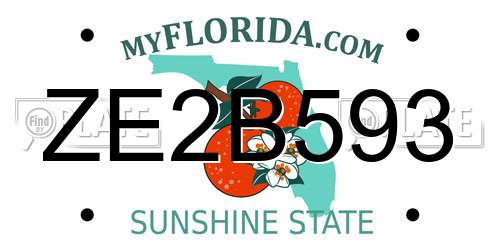 ZE2B593 Florida License Plate