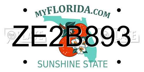 ZE2B893 Florida License Plate
