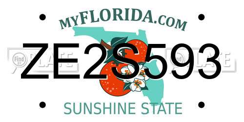 ZE2S593 Florida License Plate