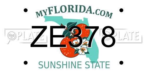 ZE378 Florida License Plate