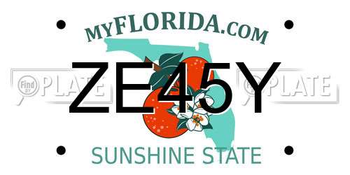 ZE45Y Florida License Plate