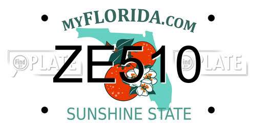 ZE510 Florida License Plate