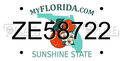 ZE58722 Florida License Plate