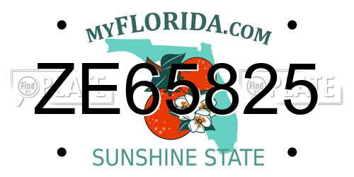 ZE65825 Florida License Plate