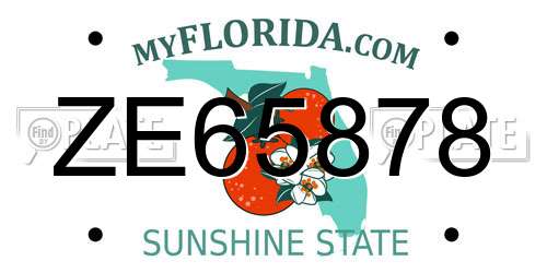 ZE65878 Florida License Plate