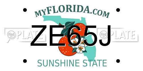 ZE65J Florida License Plate
