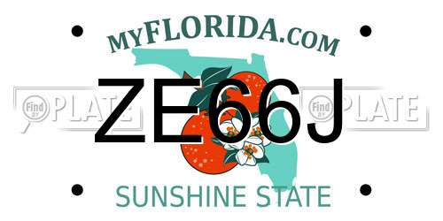 ZE66J Florida License Plate