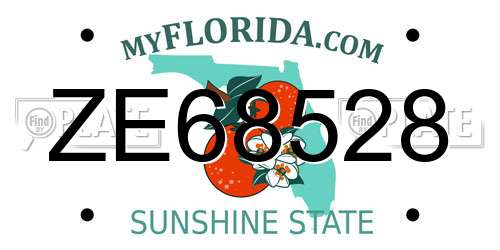 ZE68528 Florida License Plate