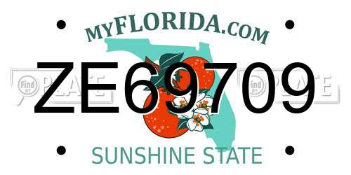 ZE69709 Florida License Plate