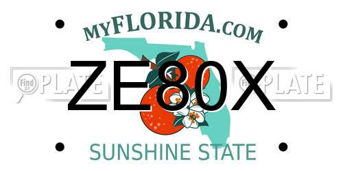 ZE80X Florida License Plate