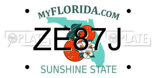 ZE87J Florida License Plate