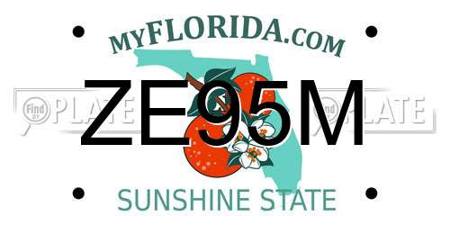 ZE95M Florida License Plate