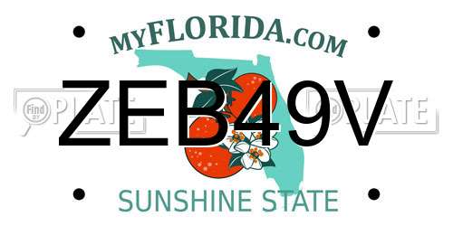 ZEB49V Florida License Plate